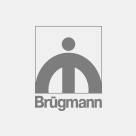 Fenster von Brügmann
